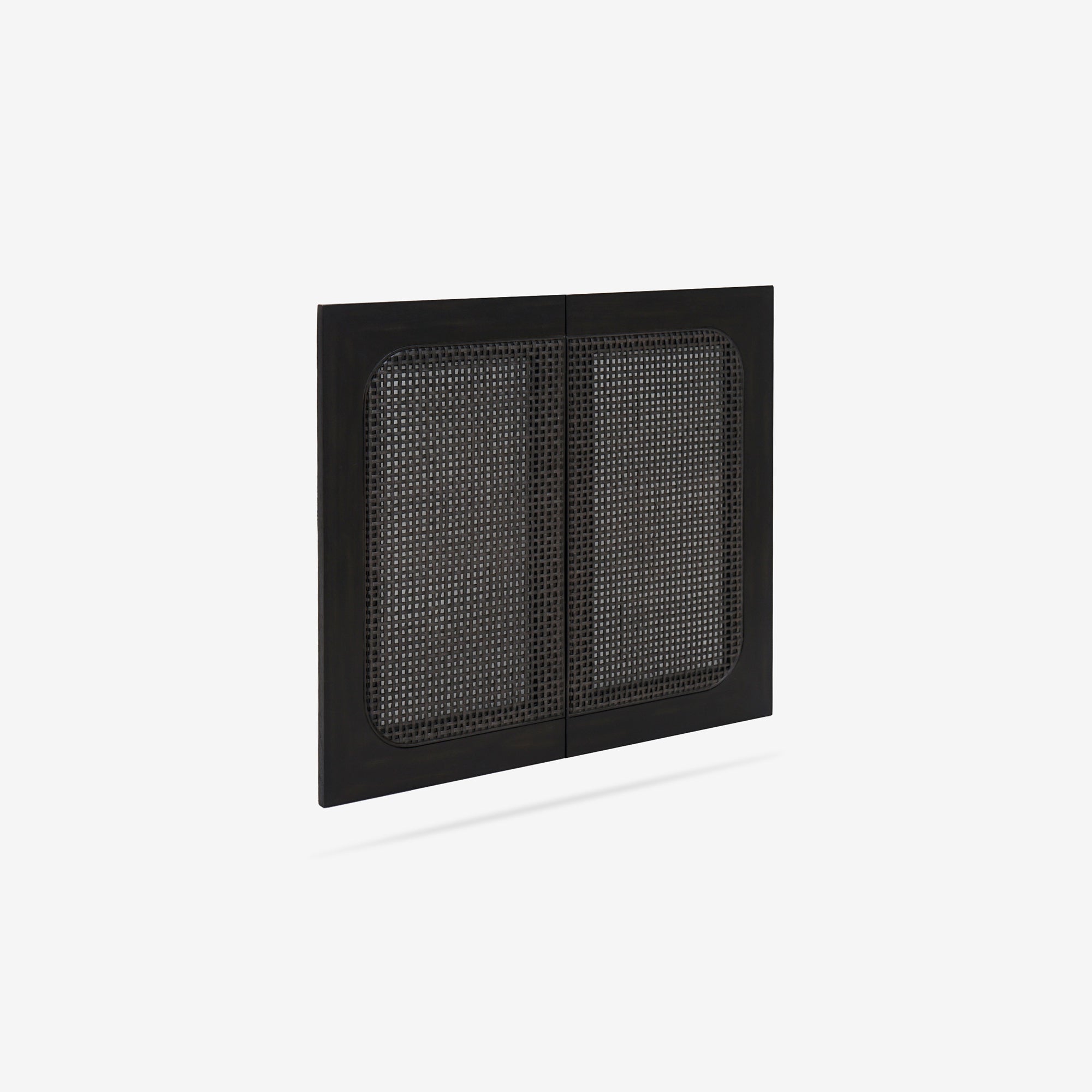 Liora - 31.5" Rattan Modular Cabinet Doors, Black