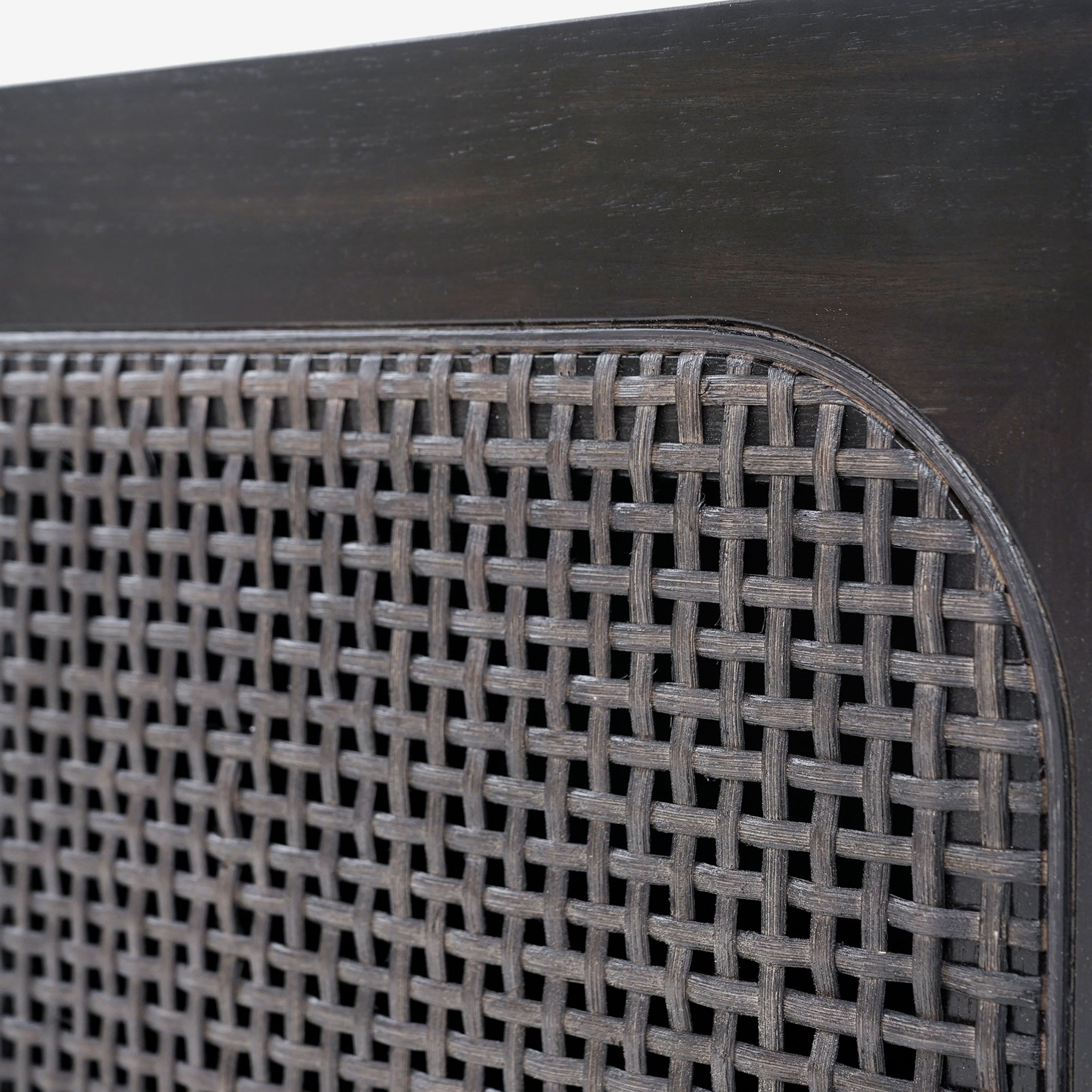 Liora - 31.5" Rattan Modular Cabinet Doors, Black